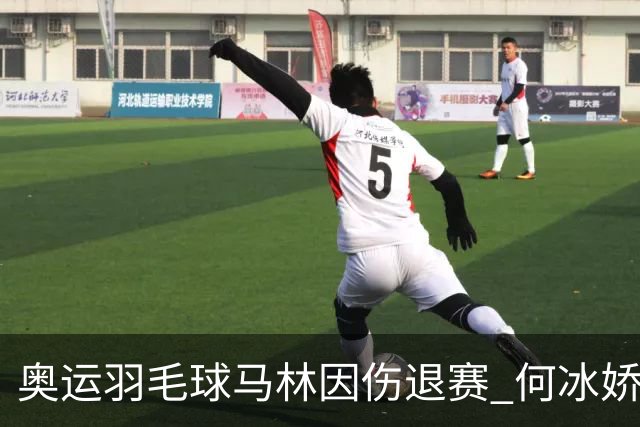 奥运羽毛球马林因伤退赛 何冰娇进决赛将战安洗莹